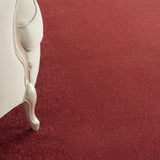 Nourison Essentials Indoor/Outdoor Brick Red 8' x 10' Area Rug, Easy Cleaning, Non Shedding, Bed Room, Living Room, Dining Room, Backyard, Deck, Patio (8x10)