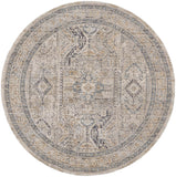 Nourison Nyle Traditional Ivory/Grey/Blue 7'10" x Round Area Rug, Easy Clean, Non Shedding, Bed Room, Living Room, Dining Room, Kitchen (8 Round)