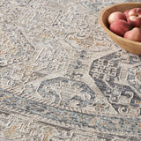 Nourison Nyle Traditional Ivory/Grey/Blue 7'10" x Round Area Rug, Easy Clean, Non Shedding, Bed Room, Living Room, Dining Room, Kitchen (8 Round)