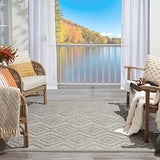 Nourison Versatile Indoor/Outdoor Silver Grey 4' x 6' Area Rug, Easy Cleaning, Non Shedding, Bed Room, Living Room, Dining Room, Deck, Backyard, Patio, High Traffic Area (4x6)