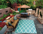 Nourison Home & Garden Indoor/Outdoor Aqua 4'4" x 6'3" Area-Rug, Easy-Cleaning, Non Shedding, Bed Room, Living Room, Dining Room, Kitchen (4x6)