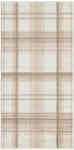 Nourison Grafix Rustic Ivory Beige 2' x 4' Area Rug, Easy Clean, Non Shedding, Bed Room, Living Room, Dining Room, Kitchen (2x4)