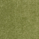 Nourison Essentials Indoor/Outdoor Green 2'2" x 7'6" Area Rug, Easy Cleaning, Non Shedding, Bed Room, Living Room, Dining Room, Backyard, Deck, Patio (2x8)