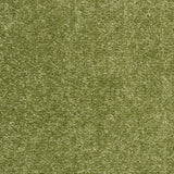 Nourison Essentials Solid Indoor/Outdoor Green 2'2" x 16 Area Rug, Easy Cleaning, Non Shedding, Bed Room, Living Room, Dining Room, Deck, Patio, Backyard (2x16)