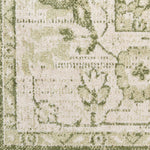 Nourison Astra Machine Washable Ivory Green 3'3" x 5' Area Rug, Easy Clean, Non Shedding, Bed Room, Living Room, Dining Room, Kitchen (3' x 5')