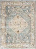 Nourison Astra Machine Washable Traditional Silver Blue 4' x 6' Area -Rug, Easy -Cleaning, Non Shedding, Bed Room, Living Room, Dining Room, Kitchen (4x6)