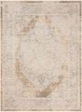 Nourison Astra Machine Washable Beige 5'3" x 7' Area Rug, Easy Clean, Non Shedding, Bed Room, Living Room, Dining Room, Kitchen (5' x 7')
