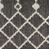Nourison Positano Indoor/Outdoor Black 4' x 6' Area Rug, Easy Cleaning, Non Shedding, Bed Room, Living Room, Dining Room, Deck, Backyard, Patio (4x6)
