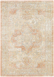 Nourison Essentials 4' x 6' Beige Rust Indoor/Outdoor Vintage Distressed Geometric Area Rug