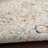 Nourison Oushak Home Traditional Light Grey 4'1" x 5'11" Area -Rug, Easy -Cleaning, Non Shedding, Bed Room, Living Room, Dining Room, Kitchen (4x6)