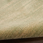 Nourison Essentials Indoor/Outdoor Green Gold 2' x 4' Area Rug, Easy Cleaning, Non Shedding, Bed Room, Living Room, Dining Room, Backyard, Deck, Patio (2x4)