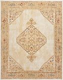 Nourison Grafix Center medallion Cream Multicolor 5'3" x 7'3" Area -Rug, Easy -Cleaning, Non Shedding, Bed Room, Living Room, Dining Room, Kitchen (5x7)