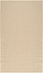 Nourison Courtyard Natural 2' x 3' Area Rug - Easy Clean, Non Shedding, Bed Room, Living Room, Dining Room, Kitchen (2' x 3')