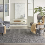Nourison Palamos Indoor/Outdoor Dark Grey 8'10" x 11'10" Area Rug, Easy Cleaning, Non Shedding, Bed Room, Living Room, Dining Room, Backyard, Deck, Patio (9x12)